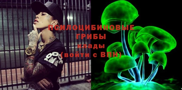 винт Лагань