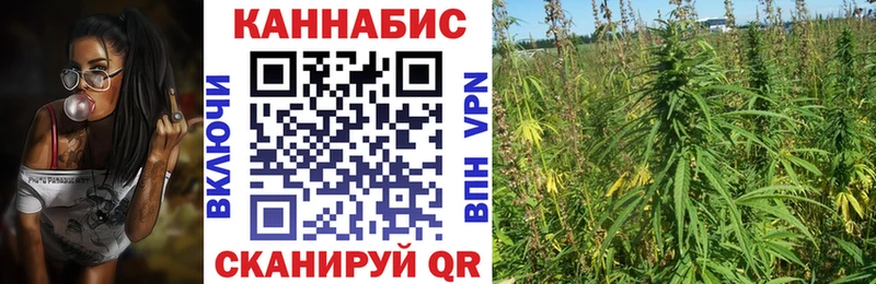 МАРИХУАНА тримм  Купить закладки  Ярославль 